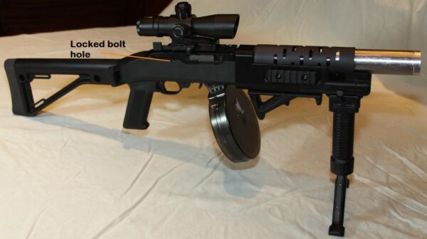 Ruger 10-22 Rifle Foregrip